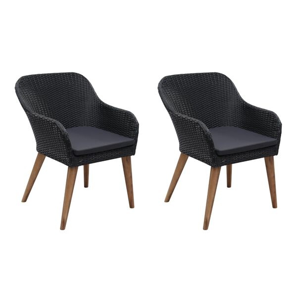 Vidaxl Lot de 2 fauteuils de jardin en rotin noir - 41% de remise