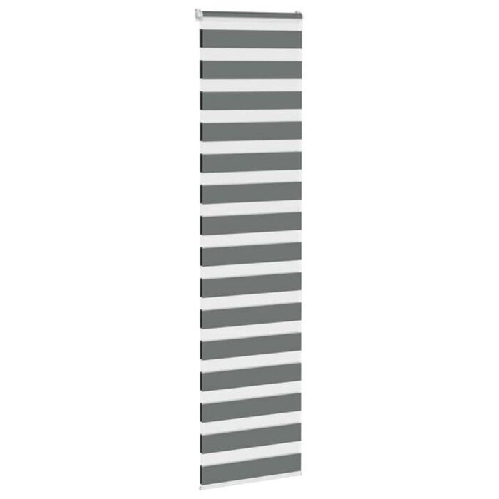 Vidaxl Store jour nuit 65x200 cm gris foncé - 35% de remise