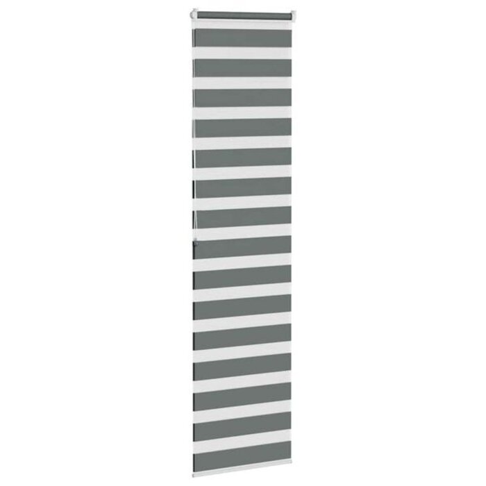 Vidaxl Store jour nuit 65x200 cm gris foncé - 35% de remise