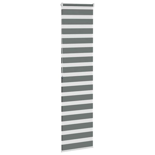 Vidaxl Store jour nuit 65x200 cm gris foncé - 35% de remise