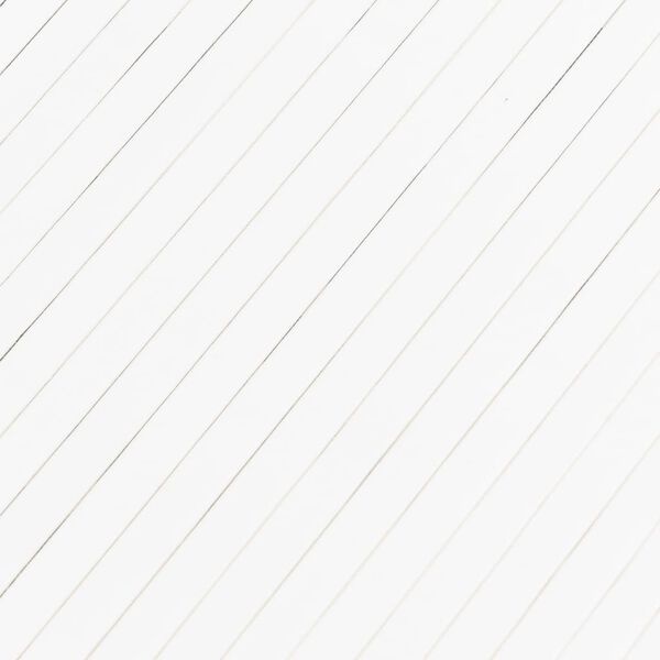 Vidaxl Paravent en bambou blanc 165 x 400 cm - 41% de remise