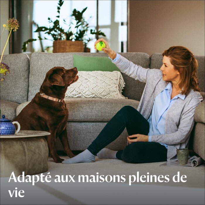Nettoyeur tapis et meubles 800W - 35% de remise