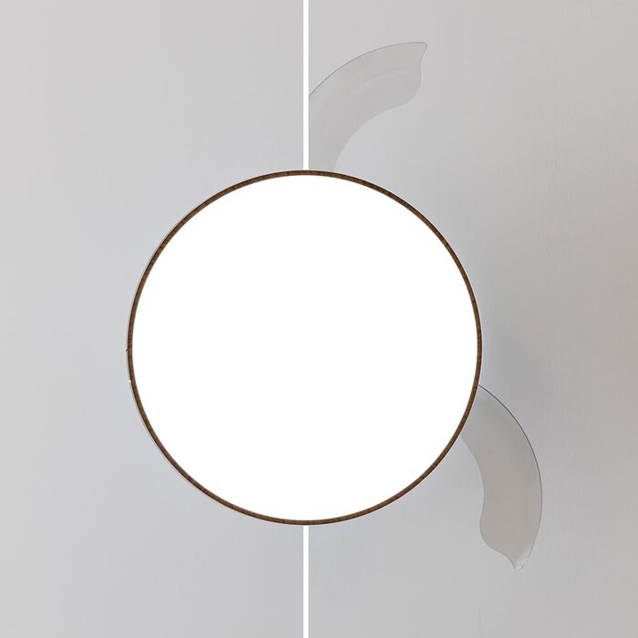 Cecotec Ventilateur plafond 106cm Noir/Bois LED - 41% de remise - État déballé