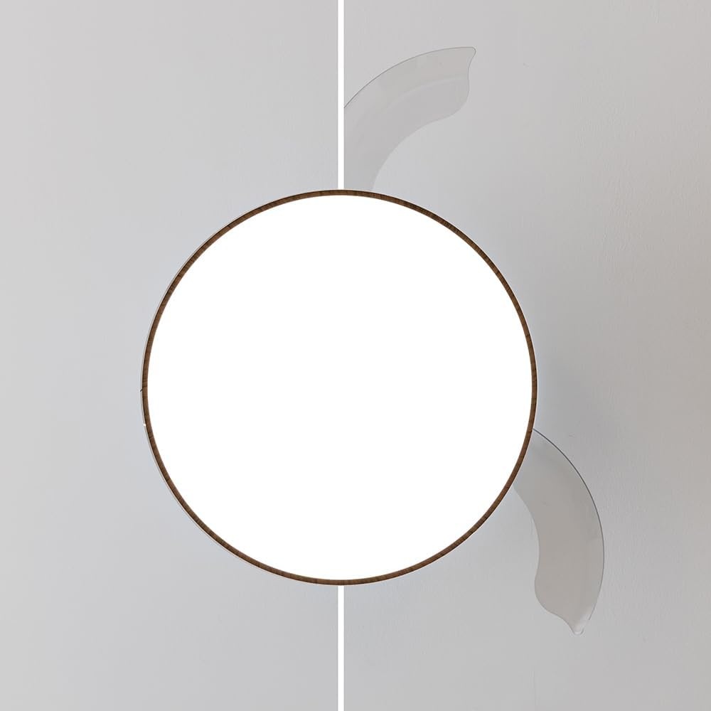 Cecotec Ventilateur plafond 106cm Noir/Bois LED - 41% de remise - État déballé