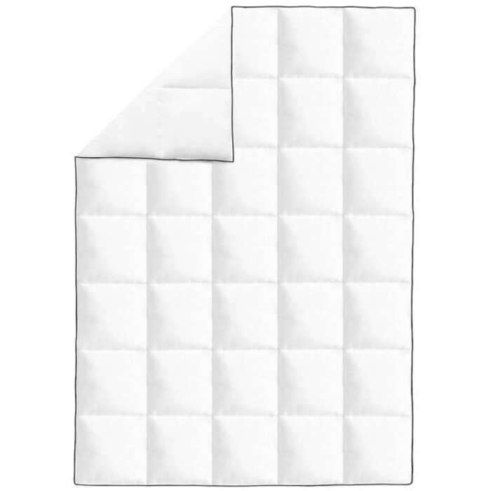 Vidaxl Couette d'hiver 155x220 cm en duvet - 33% de remise