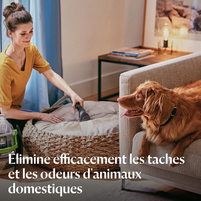Nettoyeur de taches portable 750W - 35% de remise