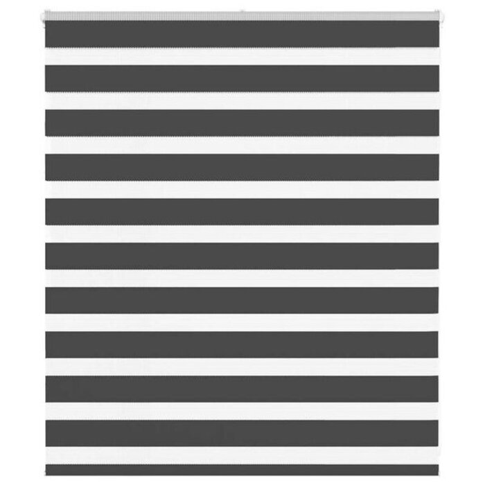 Vidaxl Store jour et nuit 130 x 100 cm noir - 31% de remise