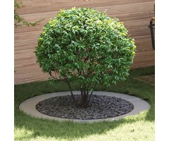 Vidaxl Lot de 5 bordures d'arbre acier galvanisé Ø 120 cm - 29% de remise