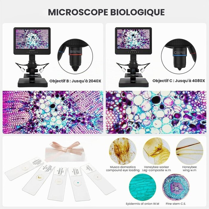 Microscope Numérique 10,1" 4080x UHD 2160p - 25% de remise