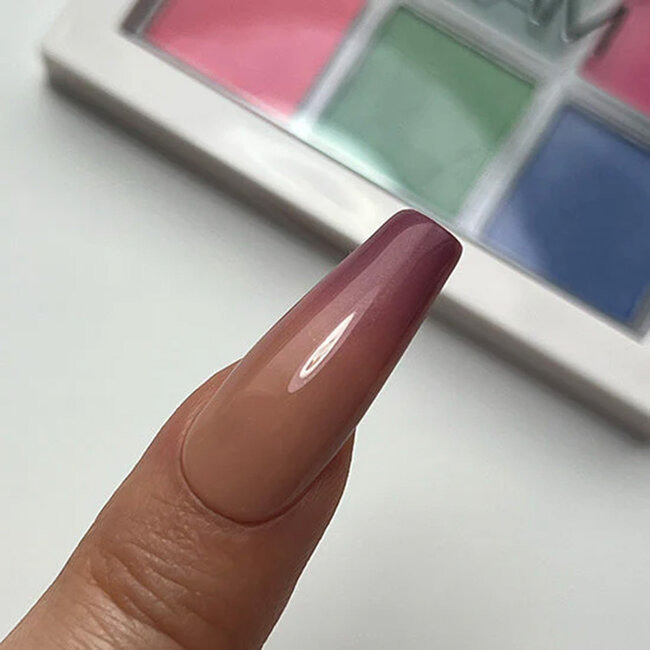 Madam Glam Tropical Pigment Palette