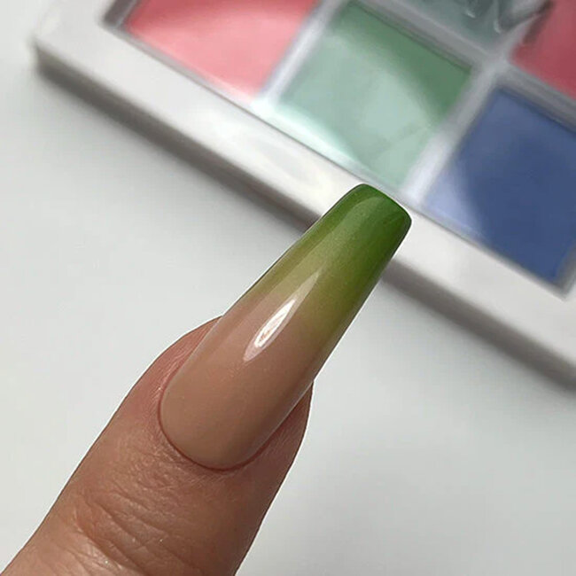 Madam Glam Tropical Pigment Palette