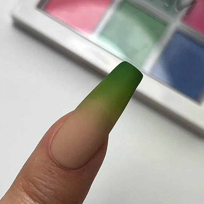 Madam Glam Tropical Pigment Palette