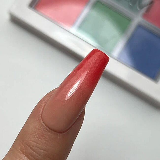 Madam Glam Tropical Pigment Palette