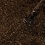 Madam Glam Glitter Make a Wish