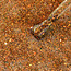 Madam Glam Glitter Glam Resolution