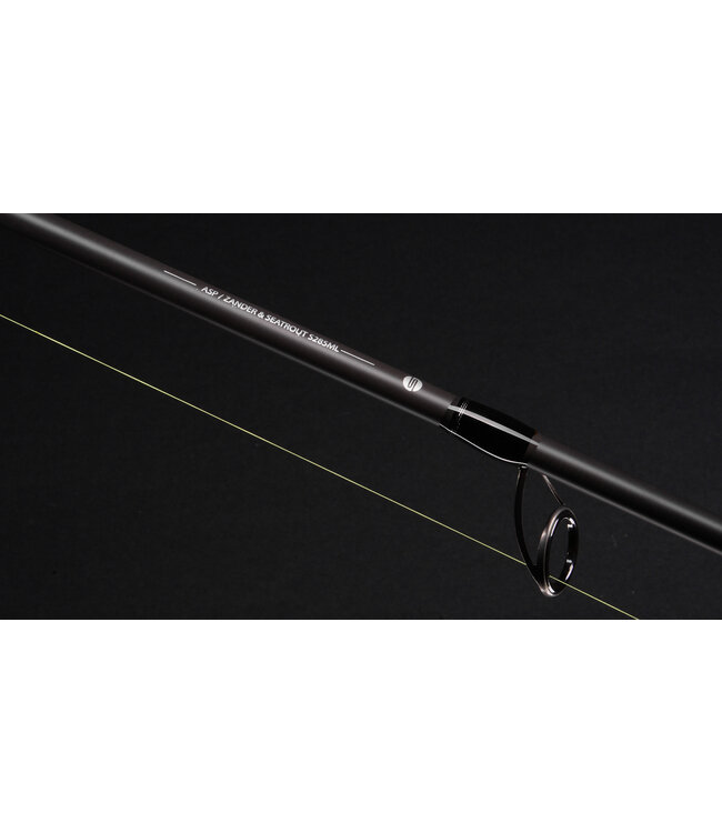 SPRO SPRO CRX VERTICAL & JIG 10-30GR