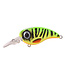 Spro SPRO FAT IRIS 60 CR HARDLURE 6CM 18GR DUIKD, 3.0M