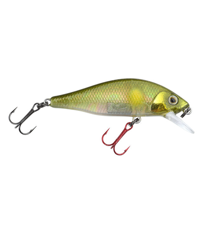 SPRO SPRO IKIRU FLAT JERK 50FS 4 GR