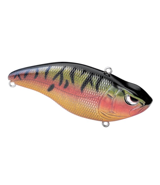 SPRO SPRO ARUKU SHAD 7,5 CM 18GR HAAKMAAT 4