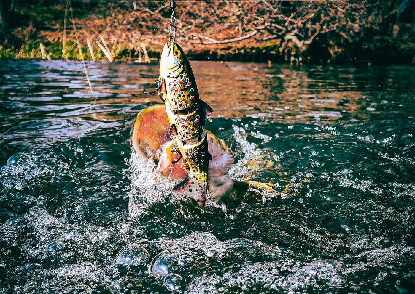 Swimbaits
