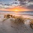 Strandhengels