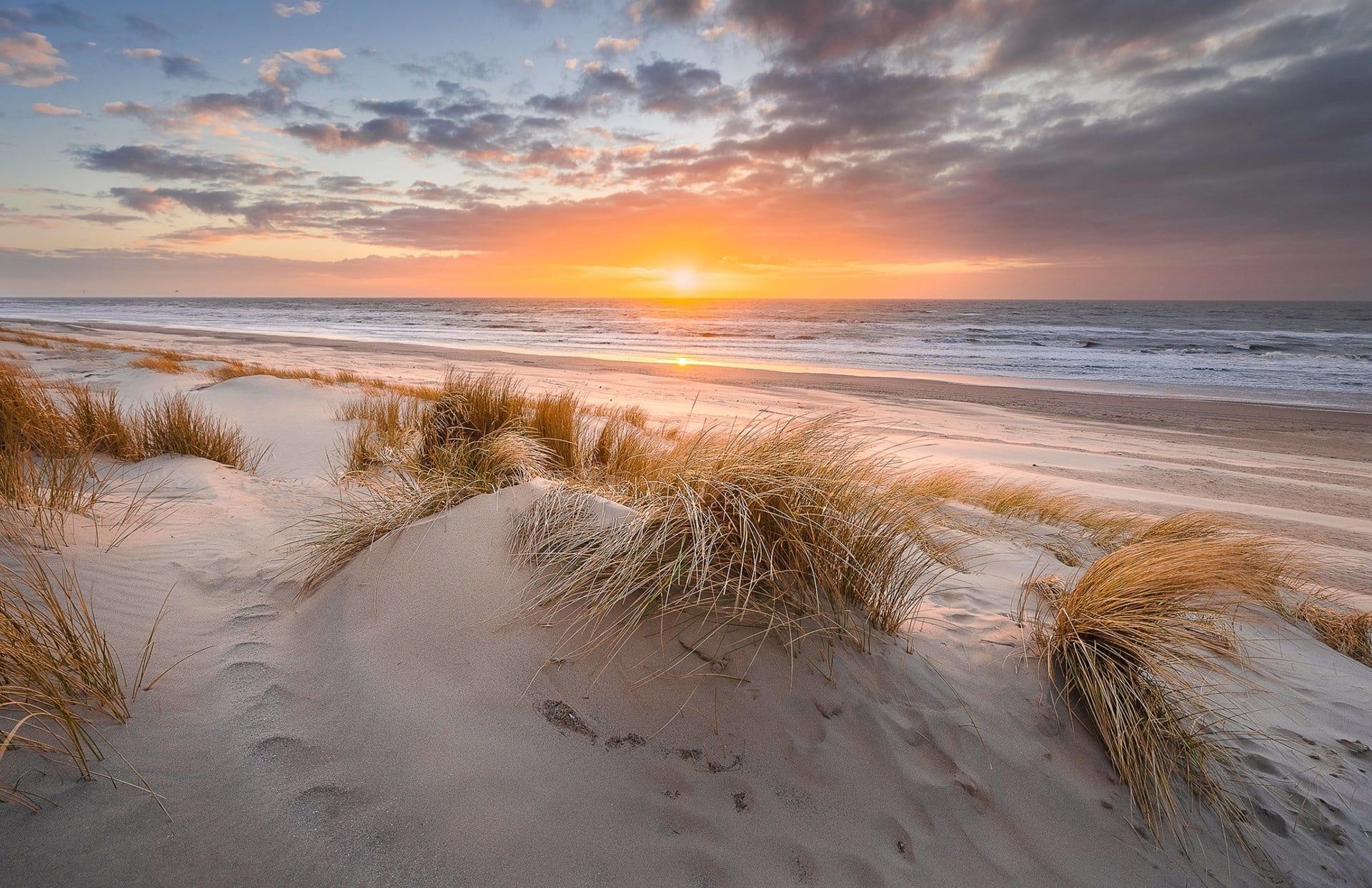 Strandhengels