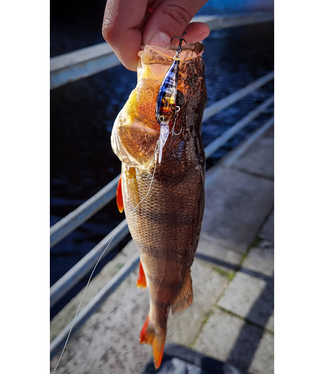 SPRO Freestyle SPRO FREESTYLE Chibi Chibi