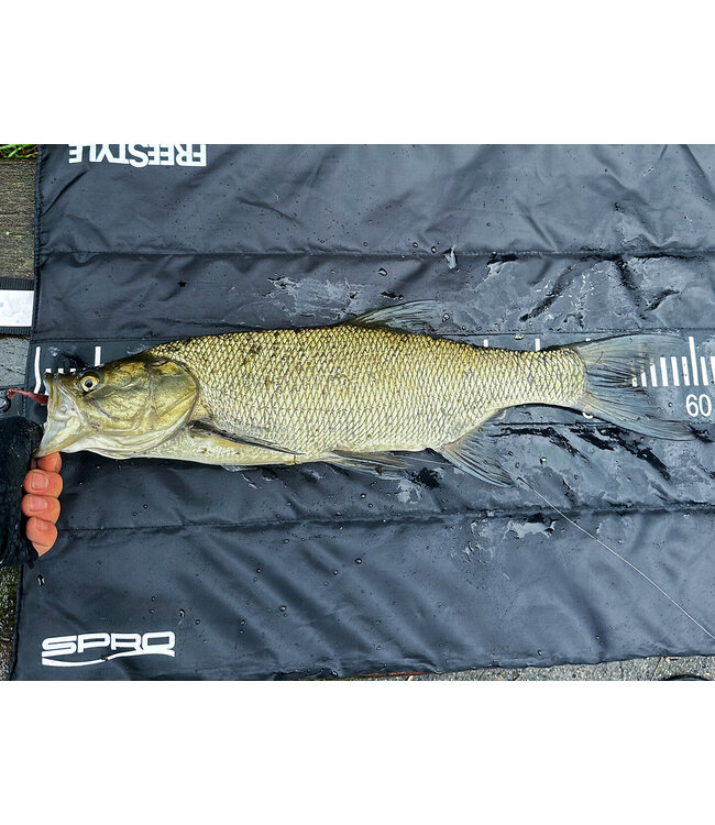 SPRO Freestyle SPRO FREESTYLE FS LITE MAT 100 CLK