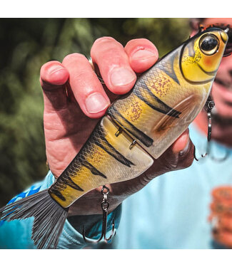 Spro SPRO KGB CHAD SHAD 180.