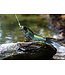 Spro SPRO KGB CHAD SHAD 180.