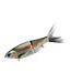 Spro SPRO KGB CHAD SHAD 180.