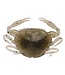 Berkley BERKLEY GULP! SALTWATER PEELER CRAB