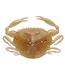 Berkley BERKLEY GULP! SALTWATER PEELER CRAB