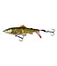 Savage Gear SAVAGE GEAR 3D SMASHTAIL 10CM 17G F