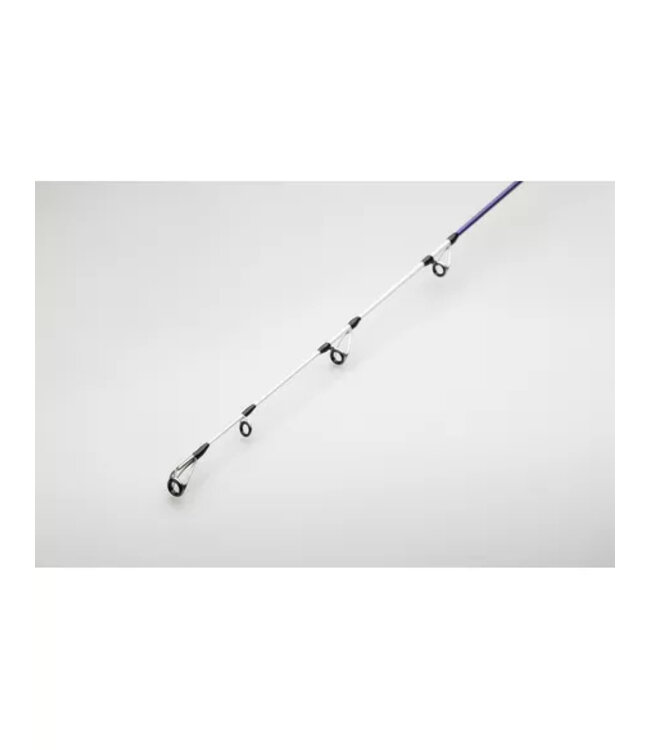 PENN PENN Tidal Elite 4.23M 100-250g LR -Long Hybrid