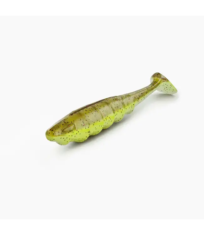 FishstoreXL Henry’s Keuze Large – Roofvisset + Gratis Savage Gear Tas