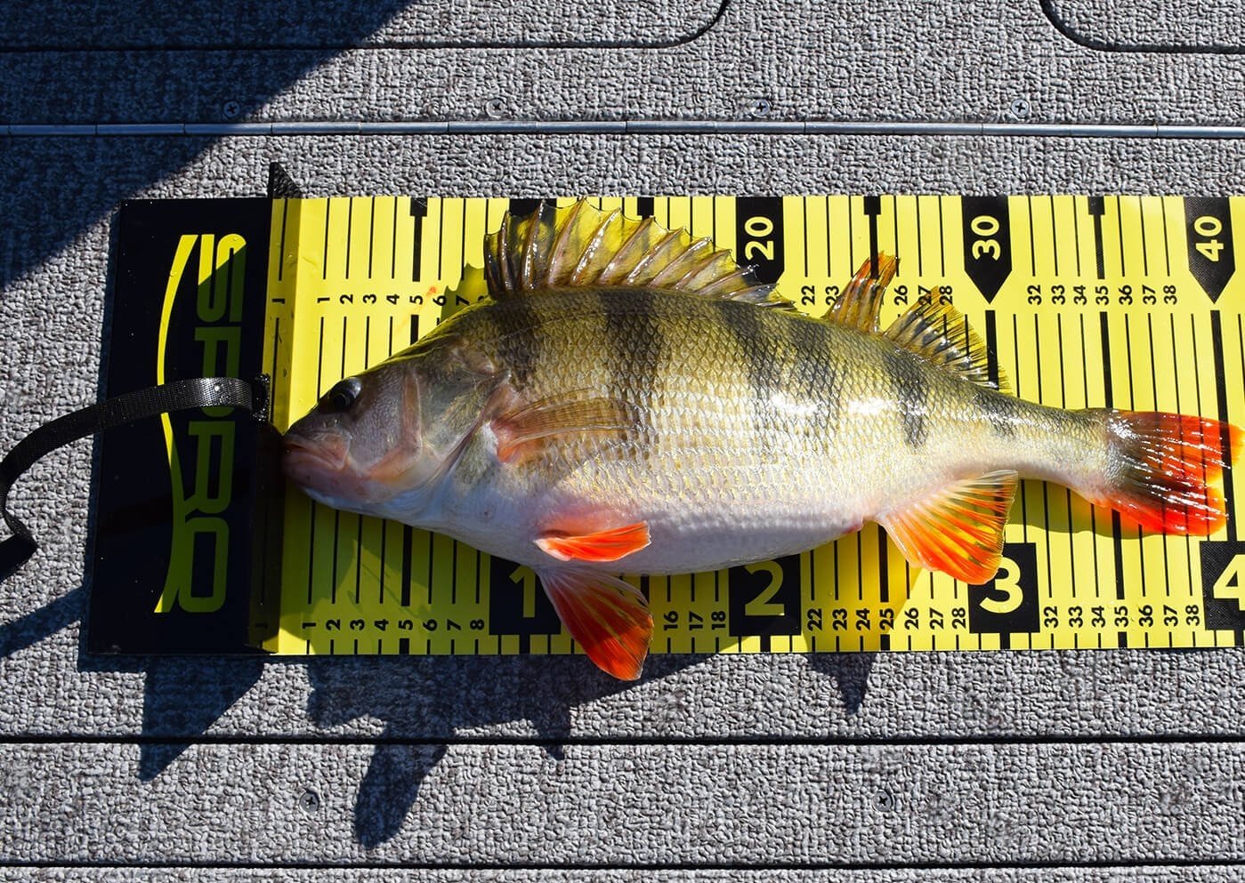 Onthaakmatten & Verzorging