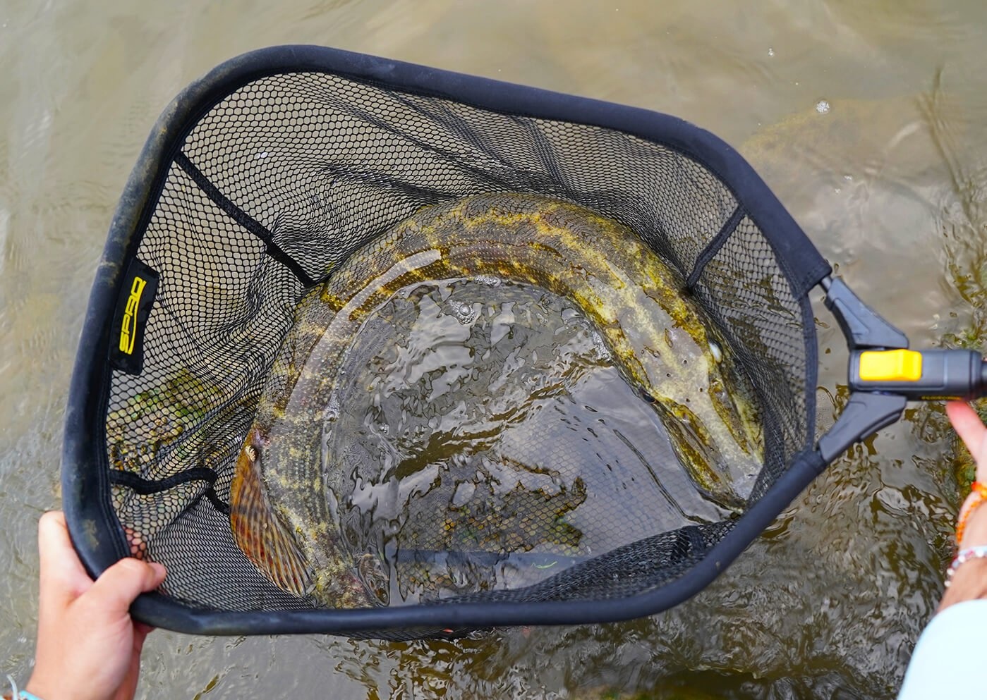 Rubberen Schepnetten