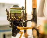 Welke vismolen moet ik kiezen? De complete gids voor elke visser