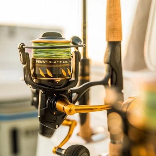 Welke vismolen moet ik kiezen? De complete gids voor elke visser