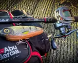 Welke hengel voor snoek kiezen? Complete gids voor beginners en gevorderden