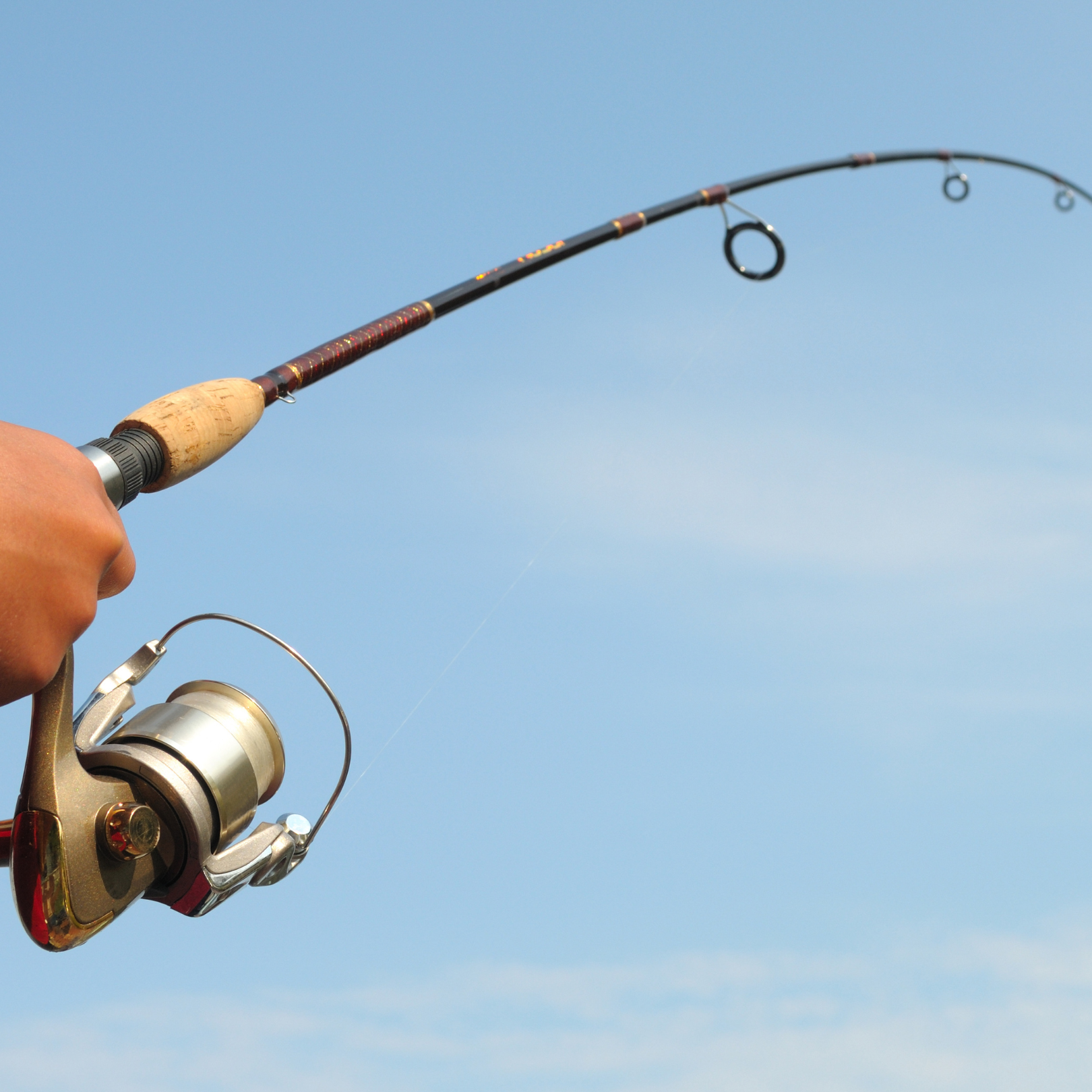 Spinhengel met molen gebruikt voor roofvissen zoals snoek en snoekbaars