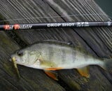 Welke hengel kiezen voor baars? Zo maak je altijd de juiste keuze