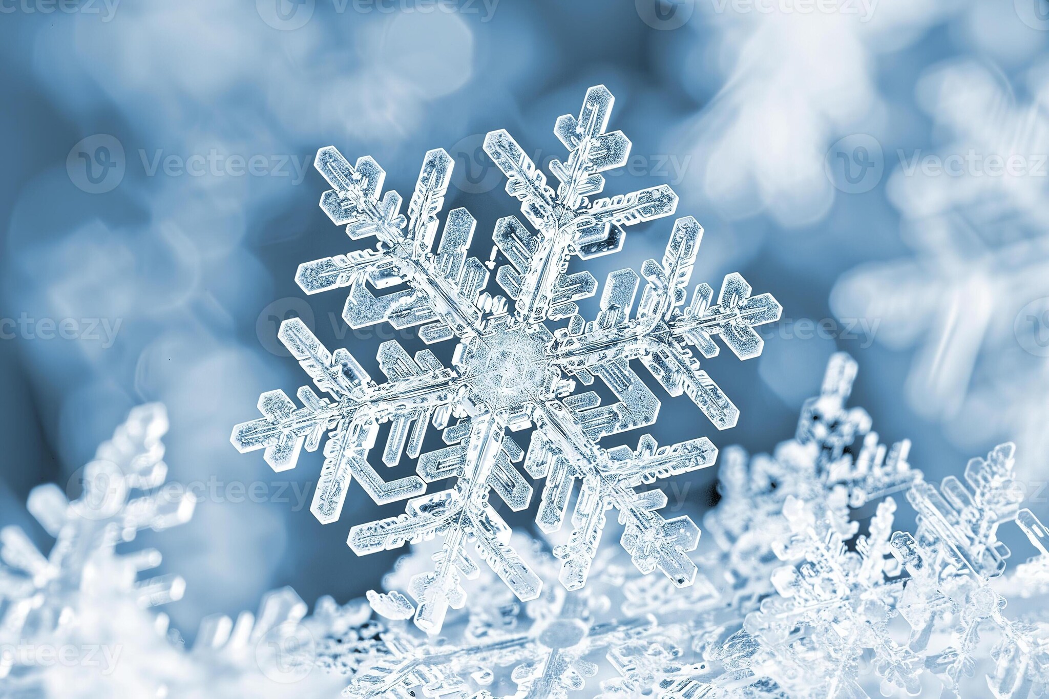 Winter Opruiming bij FishstoreXL – 30% korting