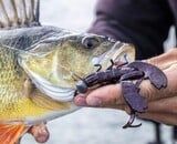 Welke lijn kiezen voor baars? Zo maak je altijd de juiste keuze