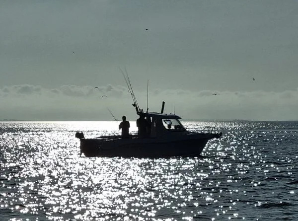 Boothengels kopen voor zee- en grootwatervisserij | FishstoreXL