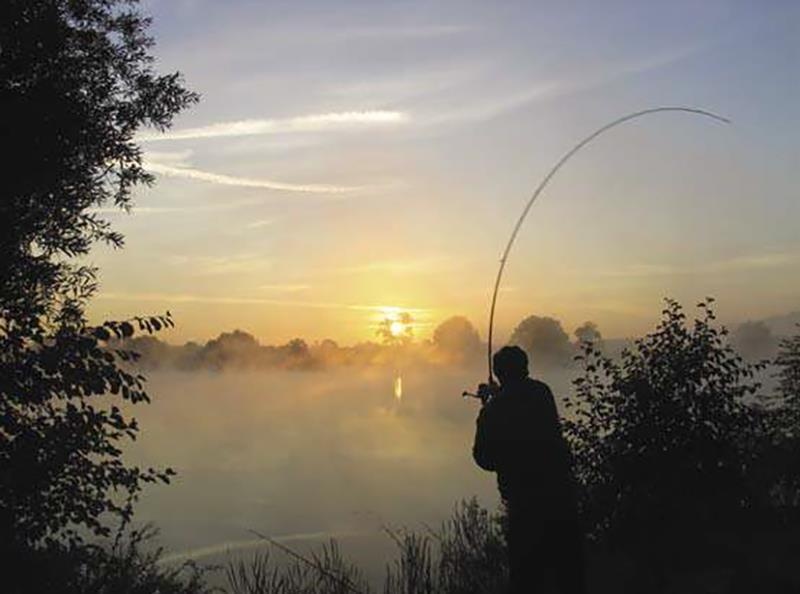 Penhengels kopen voor het vissen met de pen | FishstoreXL