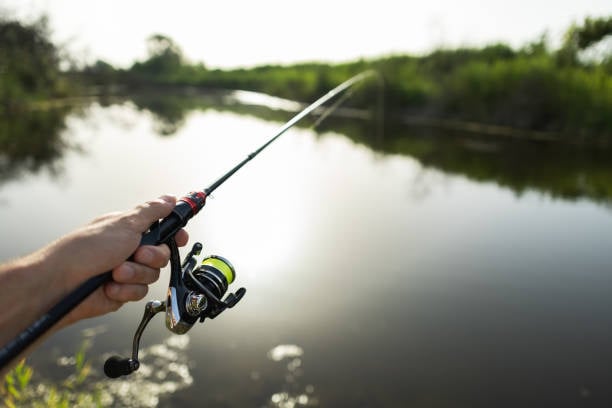 Jerkbaithengels kopen voor het vissen met jerkbaits | FishstoreXL