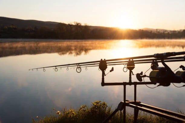 Karper Combosets – Complete karperhengel sets met molen