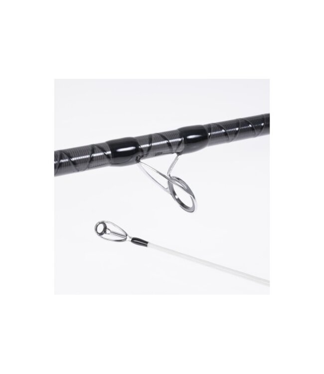 Vercelli VERCELLI Oxygen Cobra2 4.20m 100-300g